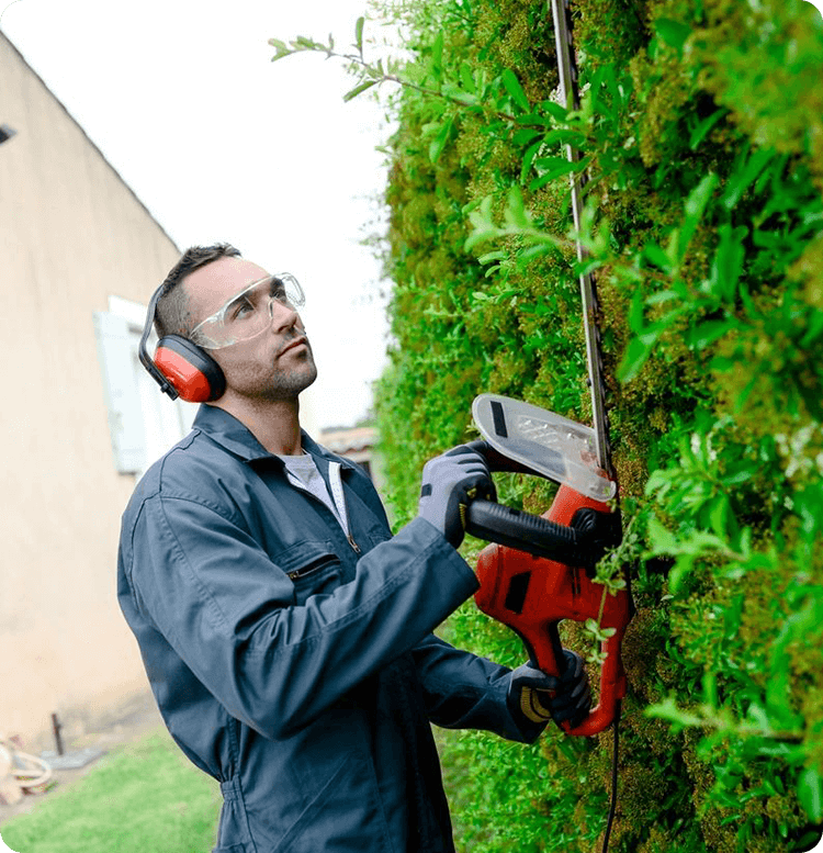 Young man trimming the trees with shears