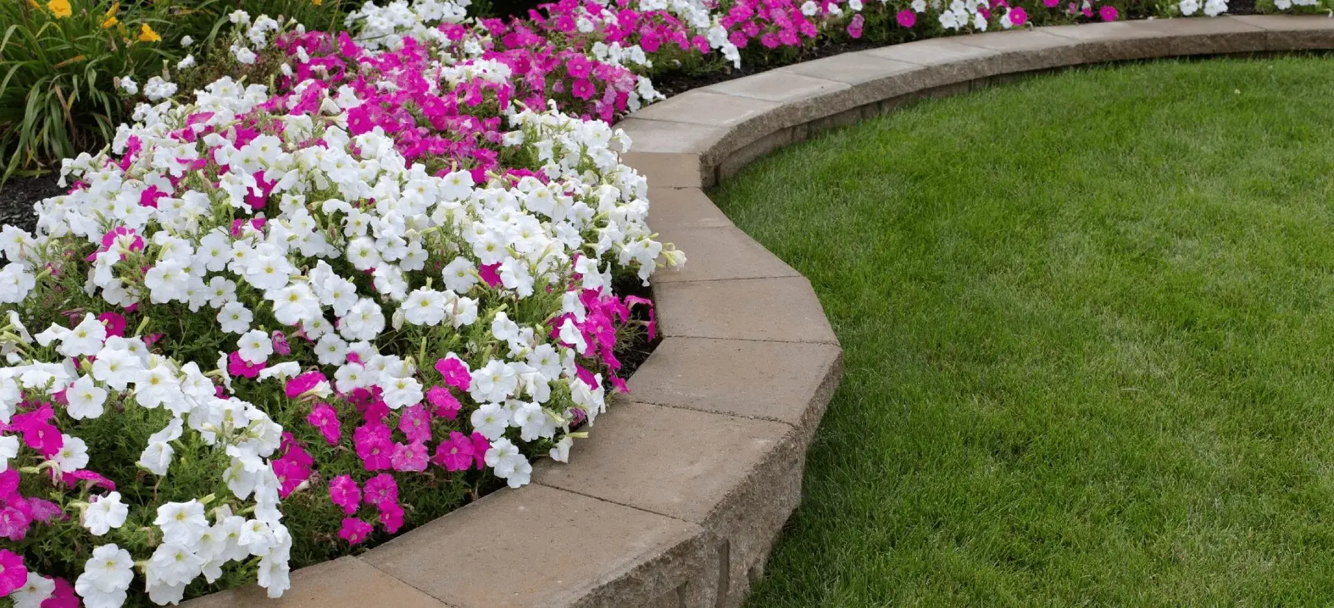 Flower bed picture in garden