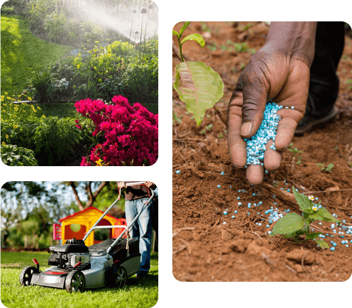 Styled images of garden cleaning and fertilizing