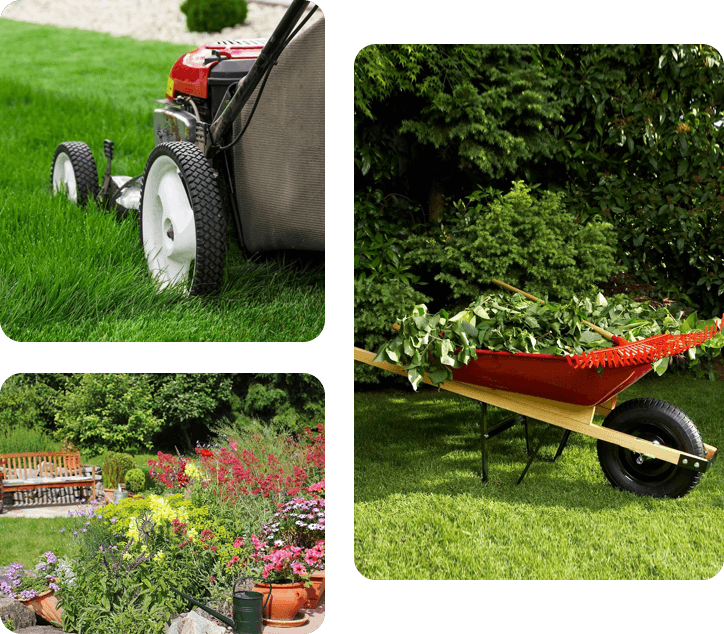 Styled images of garden cleaning and cutting grass