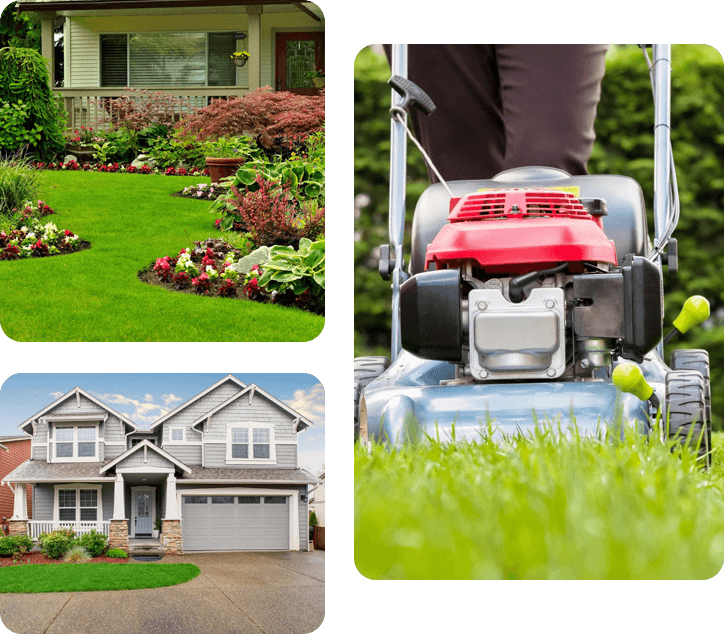 Landscape image of garden and house lawn