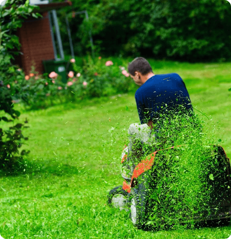 Ride-on lawn mower cutting grass